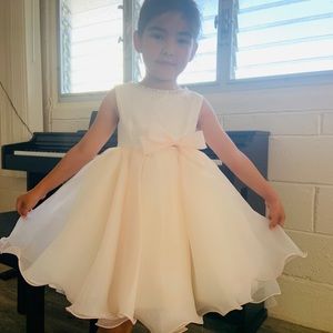 Fine detailed flower girl/little girl performance dress